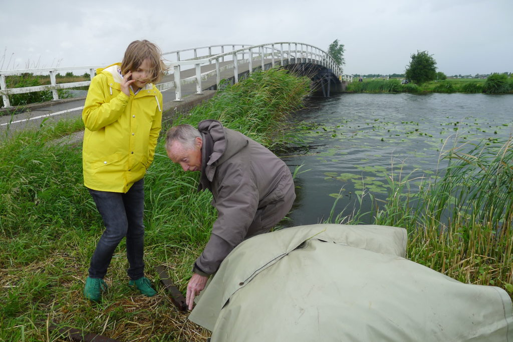 dichter bij de polder 6 juni (3)